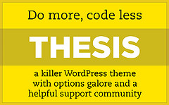 15 Tell-Tale Signs That Indicate You Are Using Thesis Theme On Your Blog