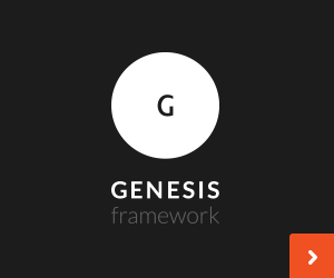 The Right Way To Add A Retina Ready Logo To Your Genesis Child-Theme